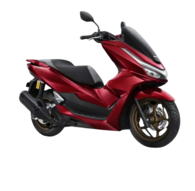 50cc for rent no need license